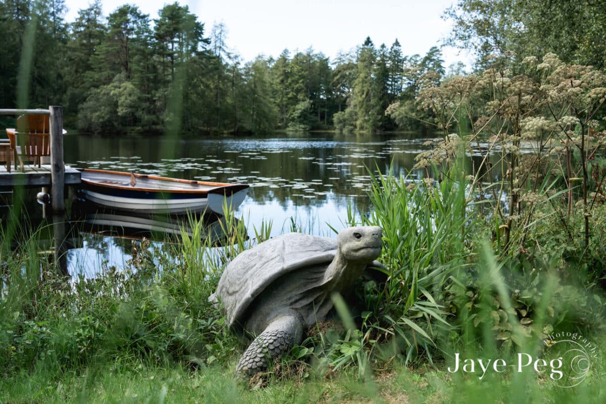 a decorative stone turtle on the shore of knipe tarn at gilpin lake house